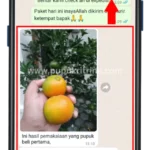 Ritrina 1L Buah – FB